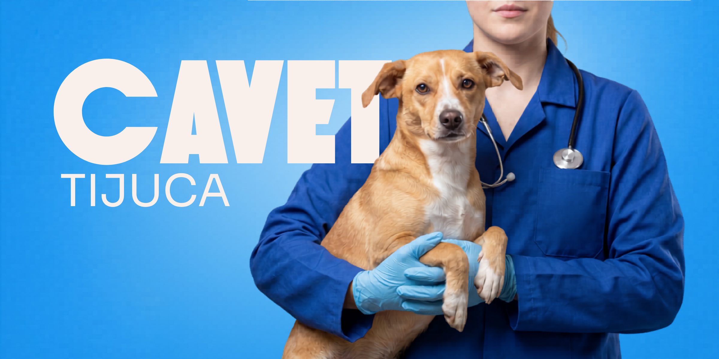 Cavet Tijuca: enfermeira segurando um filhote husky no colo.