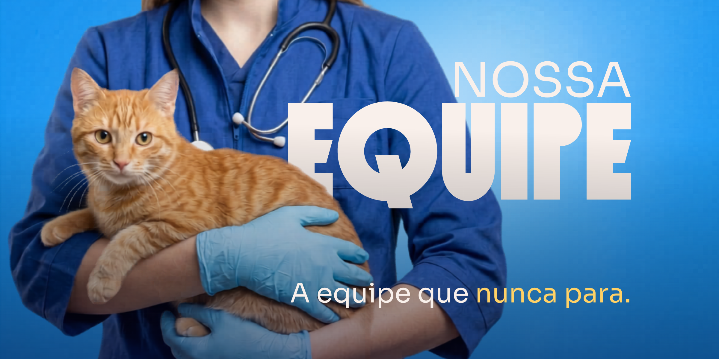 A equipe da Cavet: veterinários, enfermeiros e técnicos que atendem 24h por dia.