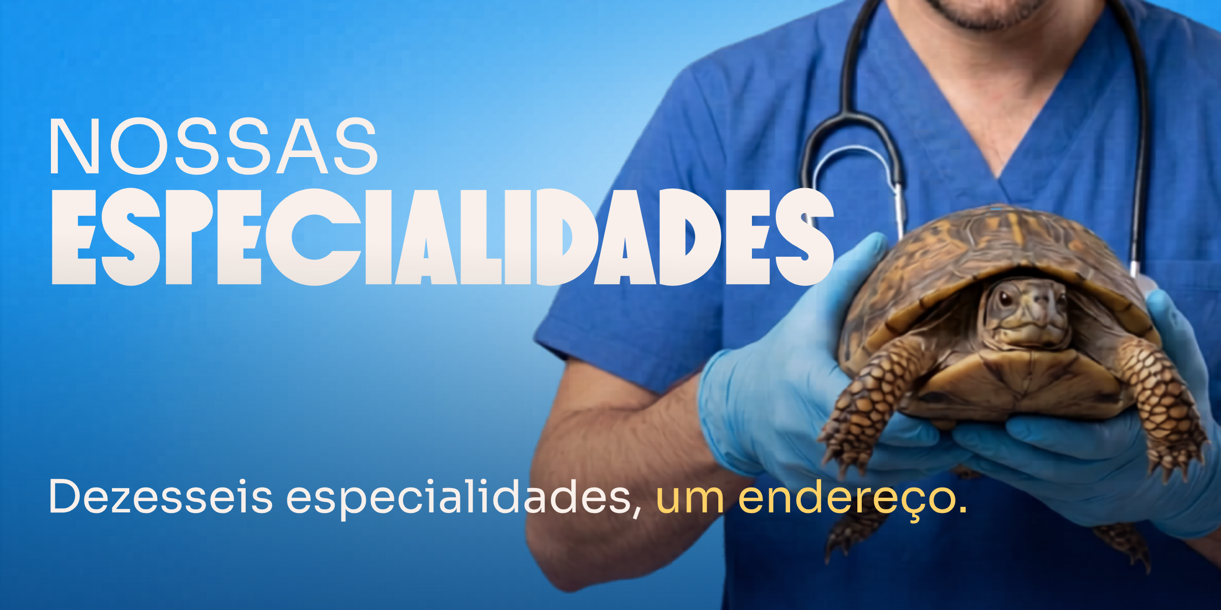 Dezesseis especialidades veterinárias atendidas no mesmo endereço. Cavet Tijuca.