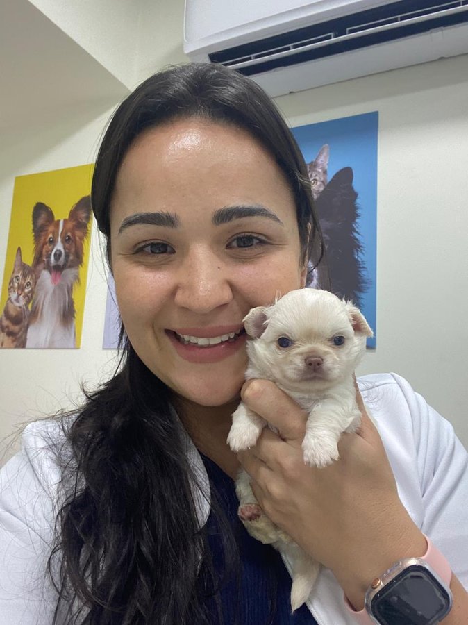 Veterinária especialista em consultório clínico
