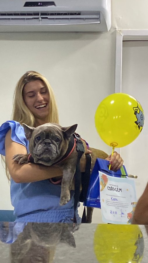 Médico veterinário em traje clínico no consultório