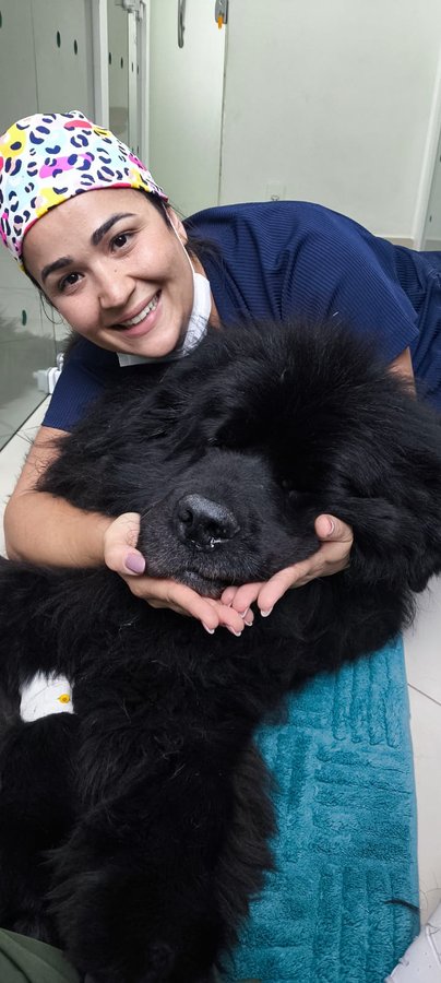 Veterinária na sala de exames com equipamento de ultrassom